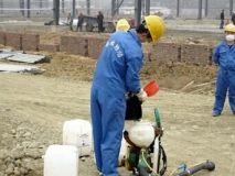 鹽步白蟻公司:工地防白蟻藥