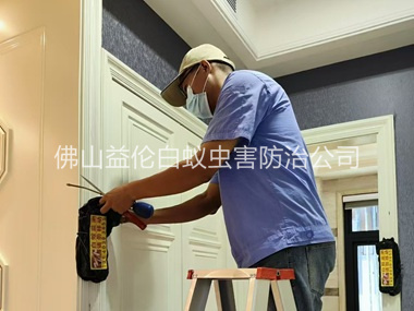 六和住宅白蟻防治工程