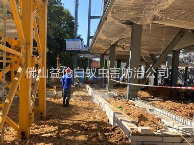樂平新建白蟻預(yù)防工程