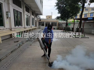 河口下水道滅蚊蟲工程